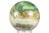 Gary Green Jasper (Larsonite) Bog Wood Sphere - Oregon #369048-1